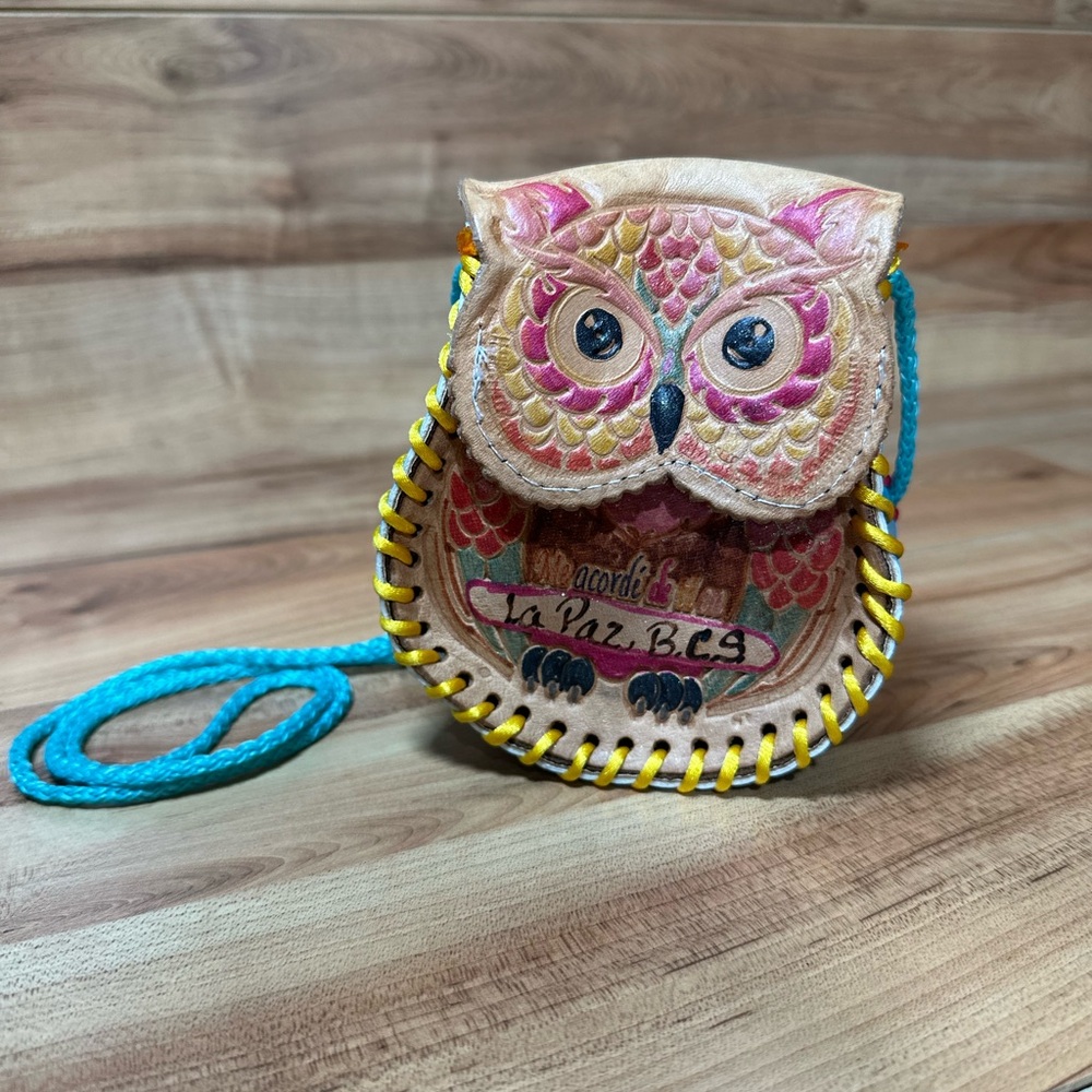 Whimsical Pink and Blue Owl Bag with Sequined Eyes